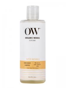 Shine Boost Shampoo 300ml – PESCA